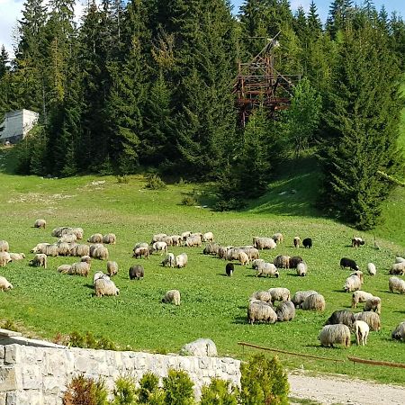Enjoy The Silence Holiday Home Vlasic Esterno foto