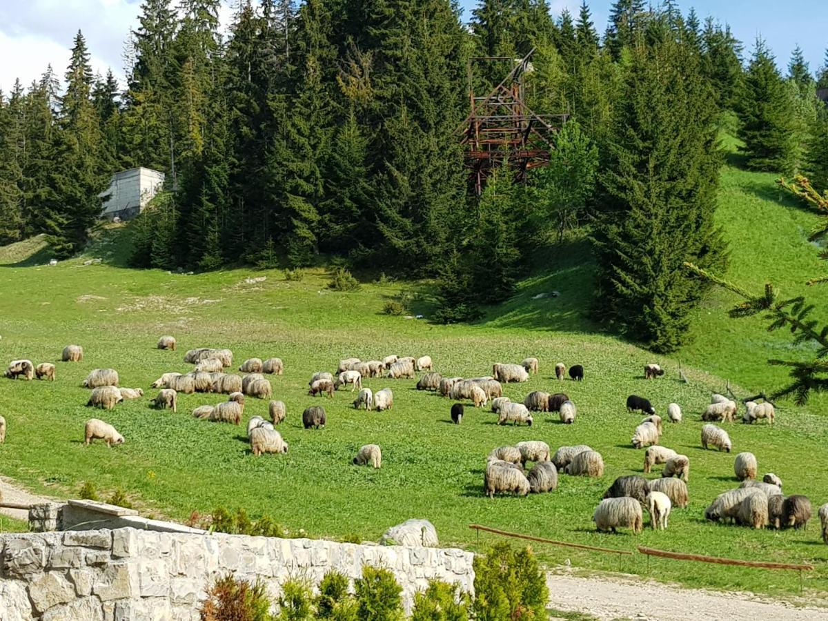 Enjoy The Silence Holiday Home Vlasic Esterno foto